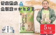 雪室貯蔵 魚沼産コシヒカリ 5kg(5kg×1袋) 精米 令和7年産 | 新潟県産コシヒカリ 魚沼産こしひかり 米 お米 こしひかり 白米 精米 ブランド米 津南町 有限会社大地