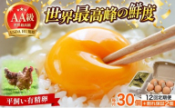 ＜定期便・全12回＞鮮度AA級の世界最高ランク！金太郎卵 平飼い たまご 30個（6個×5パック）