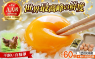＜定期便・全12回＞鮮度AA級の世界最高ランク！金太郎卵 平飼い たまご 60個（6個×10パック）