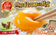 ＜定期便・全3回＞鮮度AA級の世界最高ランク！金太郎卵 平飼い たまご 60個（6個×10パック）