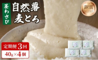 [定期便・全3回]自然薯茎わさびとろろ 40g×4個