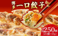 冷凍 博多一口餃子 25個入り×10パック