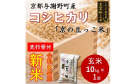 ＜先行受付＞令和8年新米　数量限定　京都与謝野町産コシヒカリ「京の豆っこ米」玄米10kg×1袋【1724668】