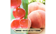 ＜発送月固定定期便＞2026年発送予定 長野の果物 さくらんぼ+桃全2回【4081258】
