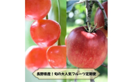 ＜発送月固定定期便＞2026年発送予定 長野の果物 さくらんぼ+サンふじ全2回【4081264】