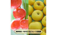 ＜発送月固定定期便＞2026年発送予定 長野の果物 さくらんぼ+シナノゴールド全2回【4081265】