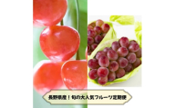 ＜発送月固定定期便＞2026年発送予定 長野の果物 さくらんぼ+クイーンルージュ全2回【4081266】
