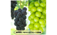 ＜発送月固定定期便＞長野の果物 ナガノパープル+シャインマスカット全2回【4081269】