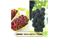 ＜発送月固定定期便＞長野の果物 種なし巨峰+クイーンルージュ全2回【4081271】
