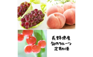 ＜発送月固定定期便＞2026年発送予定 さくらんぼ+桃+クイーンルージュ全3回【4081273】