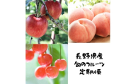 ＜発送月固定定期便＞信州人気のフルーツを掛け合わせた果物セット全3回【4081302】
