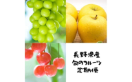 ＜発送月固定定期便＞長野の果物 サクランボ+シャインマスカット+シナノゴールド全3回【4081303】