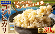 【令和8年産先行予約】≪どじょうのいる田んぼのお米≫ コシヒカリ 信州安曇野松川村産｜玄米 30kg 有機肥料 低農薬 自然栽培 安曇野米 ごはん ライス 長野県 松川村 送料無料 国産米 産地直送 農家直送 新米対応