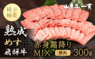 「山勇牛」焼肉用 霜降りMIX 300g 牛肉 和牛 飛騨牛 肉 稀少部位 焼き肉 冷凍 飛騨市 高評価  赤身牛肉 赤身 熟成