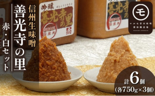 善光寺の里 赤・白ミックス（信州系味噌）4.5kg 2572283 - 長野県長野市