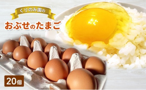 おぶせのたまご 20個 2572330 - 長野県長野市