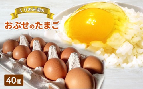 おぶせのたまご 40個 2572331 - 長野県長野市