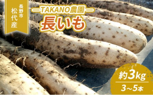 長野市松代産 TAKANO農園　長いも 約3kg(訳あり)【3～5本】 野菜 根菜 長野県産 ネバネバ シャキシャキ とろろご飯 具材 食材 国産 2572353 - 長野県長野市