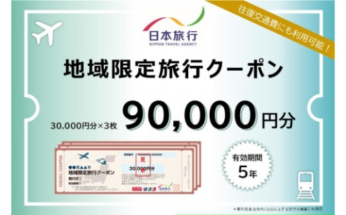 長野県長野市　日本旅行　地域限定旅行クーポン90,000円分 チケット 2572358 - 長野県長野市
