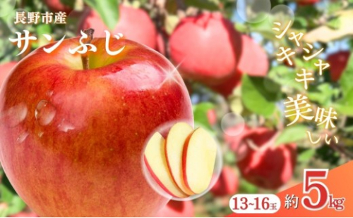長野市産サンふじ 約5kg(13～16玉)【2026年12月上旬頃発送予定】OKABE fruits 2572481 - 長野県長野市