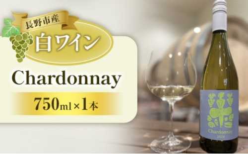 Chardonnay（ワイン） 2572835 - 長野県長野市