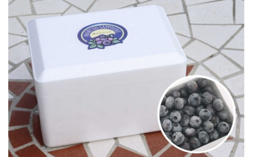 長野市産「森のサファイア」冷凍ブルーベリー（Mサイズ）500ｇスチロールパック 2572925 - 長野県長野市