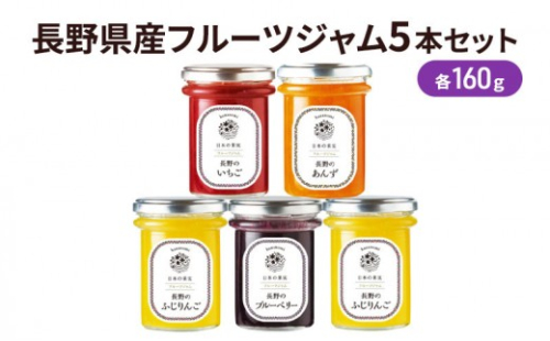 長野県産フルーツジャム5本セット　SFF-30 果実ジャム ブルーベリージャム いちごジャム あんずジャム りんごジャム 朝食 パンに塗る 食べ比べ 2572930 - 長野県長野市