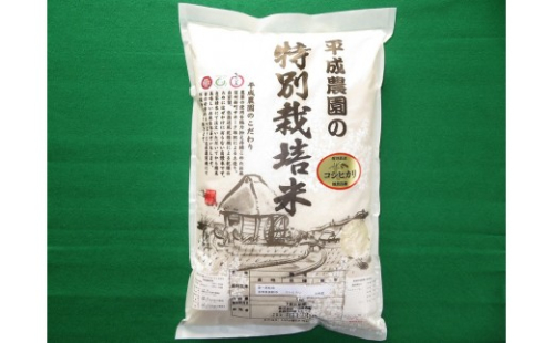 長野市産 コシヒカリ 5kg 特別栽培米（平成農園） 2573155 - 長野県長野市