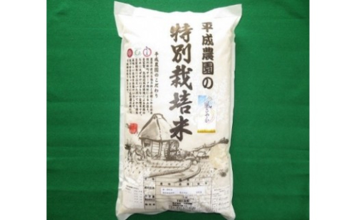 長野市産 風さやか 5kg 特別栽培米（平成農園） 2573158 - 長野県長野市