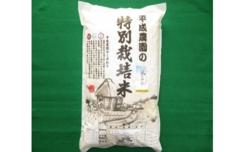 長野市産 風さやか 10kg 特別栽培米（平成農園） 2573160 - 長野県長野市