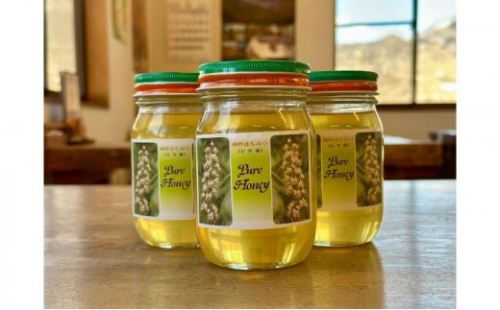 とちみつ480g とち蜜 はちみつ 国産 蜂蜜 ハチミツ 濃厚 希少 ギフト 信州 長野県 長野市 2573184 - 長野県長野市