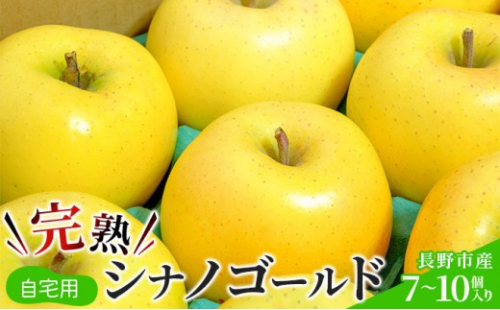 2026年産 ご自宅用　完熟シナノゴールド 7-10個入り 果物 りんご フルーツ デザート 食後 長野りんご 信州りんご ジューシー 生産者直送 2573225 - 長野県長野市