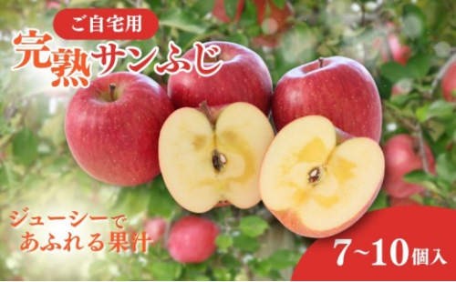 2026年産 ご自宅用 完熟サンふじ 7-10個入り リンゴ フルーツ 果物 デザート 信州 長野市 2573228 - 長野県長野市