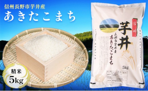 信州長野市芋井産 あきたこまち 5kg 2573259 - 長野県長野市
