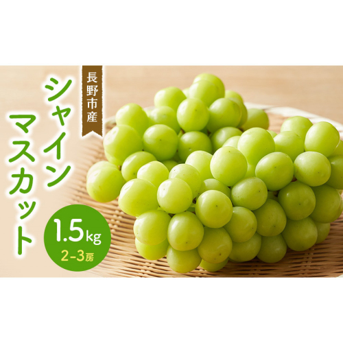 シャインマスカット 1.5kg 2-3房 2573270 - 長野県長野市