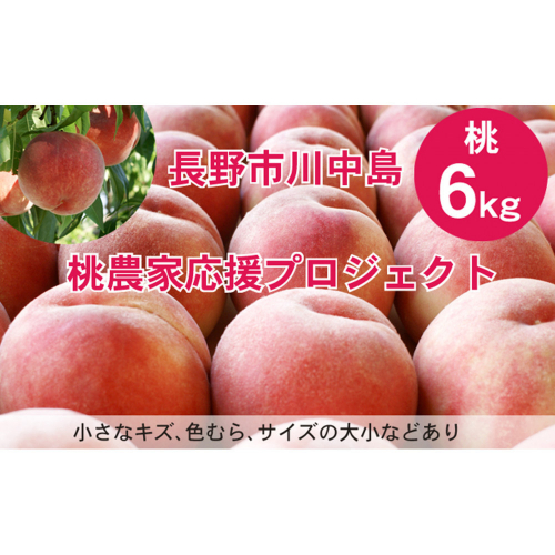 【先行予約】桃6kg(長野市川中島の桃農家を応援プロジェクト)【2025年7月下旬以降出荷分】 2573273 - 長野県長野市