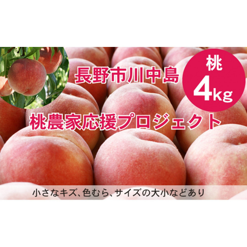 【先行予約】桃4kg(長野市川中島の桃農家を応援プロジェクト)【2026年7月下旬以降出荷分】 2573277 - 長野県長野市