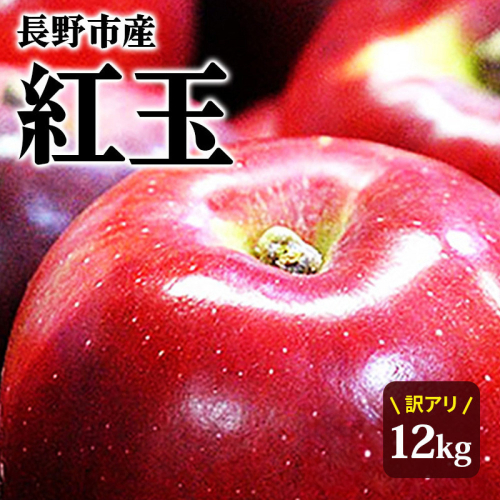 紅玉屋　紅玉訳アリ12kg りんご 長野市産 フルーツ【2026年9月下旬以降の出荷】 |  りんご フルーツ 果物 訳あり 人気 おすすめ ギフト プレゼント 送料無料 長野県 長野市 信州 信濃 ふるさと納税 2573288 - 長野県長野市
