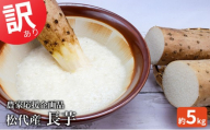 松代産長芋約5kg【地域の生産者応援の品(訳あり品)】