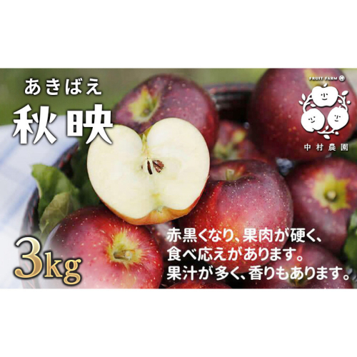フルーツファーム中村農園　【10月上旬発送 先行予約】樹上熟成　秋映 3kg |  りんご 秋映 林檎 人気 おすすめ 果物 フルーツ 赤いりんご 送料無料 長野県 長野市 信州 信濃 ふるさと納税 2573329 - 長野県長野市