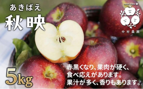 【10月上旬発送 先行予約】樹上熟成　秋映 5kg 2573331 - 長野県長野市