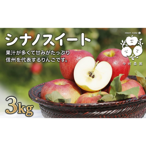 フルーツファーム中村農園　【10月中旬発送 先行予約】樹上熟成　シナノスイート 3kg |  りんご シナノスイート 林檎 人気 おすすめ 果物 フルーツ 贈答用 ギフト 送料無料 長野県 長野市 信州 信濃 ふるさと納税 2573333 - 長野県長野市