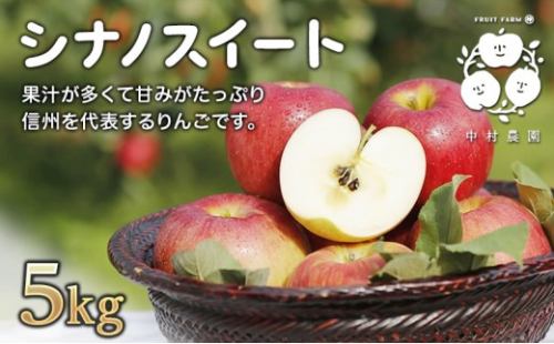 【10月中旬発送 先行予約】樹上熟成　シナノスイート 5kg 2573334 - 長野県長野市