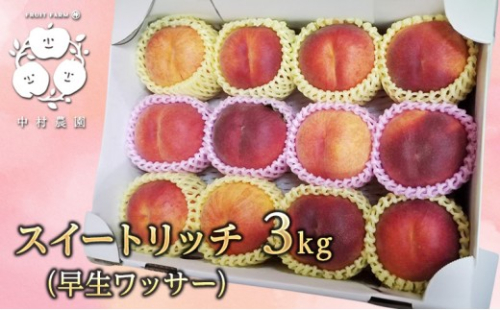 【8月上旬発送 先行予約】スイートリッチ 3kg(中生ワッサー） 2573344 - 長野県長野市