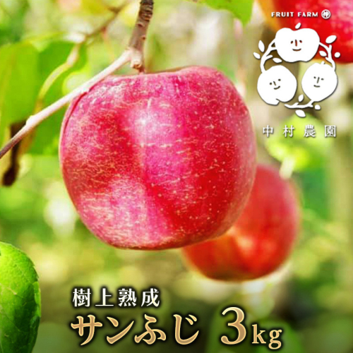 フルーツファーム中村農園　【11月下旬発送 先行予約】樹上熟成　サンふじ 3kg |  りんご サンふじ 糖度林檎 人気 おすすめ 果物 フルーツ 大玉 贈答用 ギフト 送料無料 長野県 長野市 信州 信濃 ふるさと納税 2573353 - 長野県長野市
