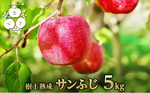 【11月下旬発送 先行予約】樹上熟成　サンふじ 5kg 2573355 - 長野県長野市