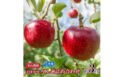 米山農園のおまかせりんご（シナノリップまたはサンつがる・シナノドルチェ・紅玉など）約3kg 8月から順次発送 2573359 - 長野県長野市