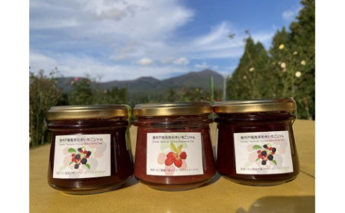信州戸隠高原のきいちごジャム3個セット（ブラックベリー2個・ラズベリー1個） 2573362 - 長野県長野市
