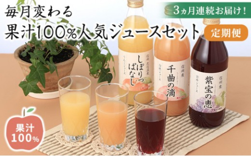 3ヵ月連続お届け！毎月変わる果汁100％人気ジュースセット定期便 2573429 - 長野県長野市