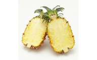 ＜先行予約＞ 【訳アリ】石垣島産パイナップル 約2.8kg(2～5玉)| 沖縄県 石垣市 石垣島 南国 フルーツ 果物 季節限定 パイン
